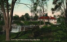 Vintage Postcard 1930's View In Bronx Park Public Park Showing Dam New York NY picture