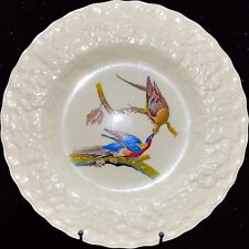Alfred Meakin Birds of America White Passenger Pigeon Flycatcher Plate # 62 picture
