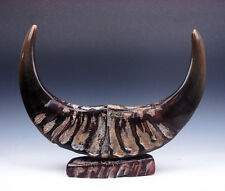 Exquisite Rare Pair Large Natural Ox/Buffalo Horns Awesome Home Decor #03161602 picture
