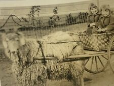 RPPC Photograph Postcard Girls GOAT DRAWN Basket Wagon Carriage picture