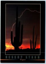 Postcard - Saguaro Cactus - Desert Storm, Arizona, USA picture
