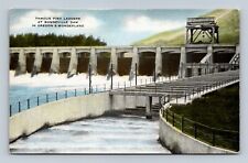 Oregon OR Bonneville Dam Fish Ladders Columbia River Postcard picture