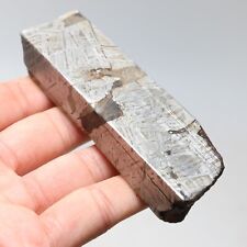 240g  Muonionalusta meteorite part slice C7432 picture