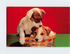 Postcard Fox Terrier Pups picture