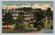 Natural Bridge VA, Historic Hotel and Grounds, Virginia Vintage Postcard picture