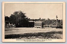 Vintage Advertising Postcard Weekiwachee Springs Winding Waters Brooksville FL picture