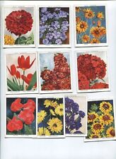 1938 W.D. & H.O. WILLS CIGARETTES GARDEN FLOWERS NEW VARIETIES TOBACCO CARD SET picture