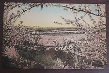 SPRING - Hand Colored Post Card - Old/Vintage - Unposted/New picture
