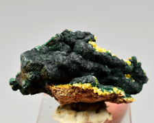 Malachite with Pyromorphite - Brown's Prospect, Northern Territory, Australia picture