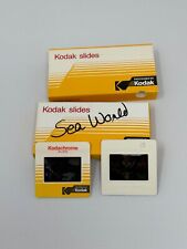 LOT of 24 Color Transparency Kodak Slides - Sea World San Diego - Vintage 1986 picture