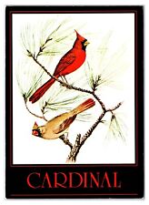 Vintage 1990s - The Cardinal Bird - West Virginia Postcard (UnPosted) picture