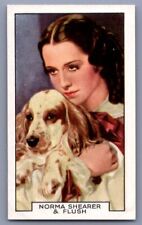 1935 Gallaher Film Partners Norma Shearer & Flush #24 picture