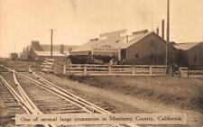 GONZALEZ, California CA ~ ALPINE CREAM COMPANY Monterey County VINTAGE Postcard picture