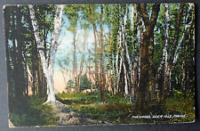 Deer Isle, ME, The Woods, postmarked 1913 picture