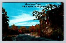 Elk Rapids, MI-Michigan, Scenic Greetings, Roadway, Antique, Vintage Postcard picture