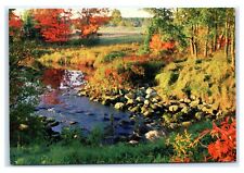 Postcard Autumn Colors of Downeast Maine ME K14 picture