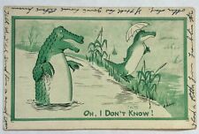 1911 Alligator couple postcard. Vintage humorous, funny. picture