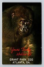 Atlanta GA-Georgia, Grant Park Zoo, Willie B, Young Gorilla, Vintage Postcard picture