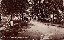 ELKHART IN - Island Park View Postcard - 1910 picture