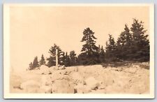 Vintage Postcard Cranberry Isles Maine picture