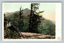 Yellowstone Park WY-Wyoming, On Road To Mt Washburn Summit Vintage Postcard picture