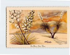 Postcard Yucca New Mexico State Flower New Mexico USA picture