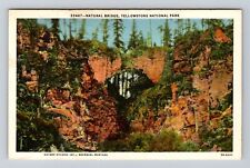 Yellowstone National Park, Natural Bridge, Series #23447 Vintage Postcard picture