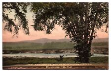Hand Colored 1916 Mt. Prospect and Pemigewasset River, Plymouth, New Hampshire picture