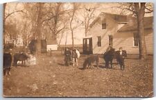 Waterloo Iowa~Pigs & Ponies Horses with Children~Our Place~Farm House~1910 RPPC picture