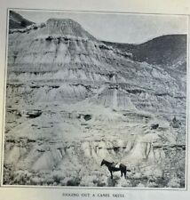 1901 John Day Fossil Beds Eastern Oregon illustrated picture