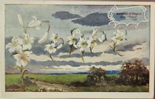 Vintage Postcard 1909 Language of Flowers White Lily Peace Cloudy Field Cancel picture