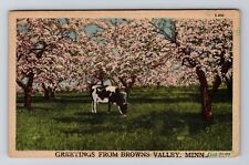 Browns Valley MN-Minnesota, Greetings, Cow Grazing, Vintage Postcard picture