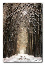 PATH IN THE SNOW TREES FOREST WOOD 18