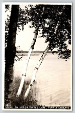 Postcard RPPC Scene on Upper Turtle Lake Wisconsin Birch Tree Lakeside picture