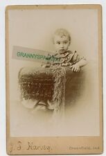 Cabinet Photo-Greenfield Indiana-Carl HERMES-Little Boy-Harvey Photographer picture