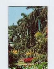 Postcard Sunken Gardens, St. Petersburg, Florida picture