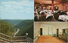 Penn-Wells Hotel Wellsboro PA Pennsylvania Dining Room Mosiac UNP Postcard 7274 picture