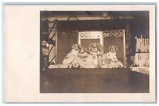c1905 Cute Saint Bernards Dogs Animals RPPC Photo Unposted Antique Postcard picture