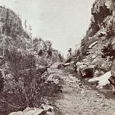 Antique 1870s Crawford Notch Horse & Buggy Road NH Stereoview Photo Card V1995 picture
