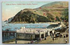 Postcard Scene at Avalon Catalina Island showing Aquarium California c1908 picture