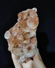 A Good Looking New Multilayered Shell-Like Orange Calcite Natural Mineral Ore picture