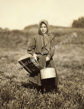 1911 Cranberry Picker Carrie Maderyos, Falmouth, MA Old Photo 8.5