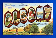 GREETINGS FROM ALBANY GEORGIA GA—PECAN TREES—LINEN LARGE LETTER POSTCARD 1940s picture