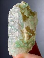 365 Carats Beautiful Tourmaline Crystals On Quartz Specimen From Afghanistan picture