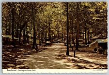 Ludington, Michigan - Beechwood, Ludington State Park - Vintage Postcard 4x6 picture