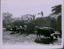 LG841 1962 Original Photo ROMANTIC UNROMANTIC HAITI Workers Loading Rail Cars picture