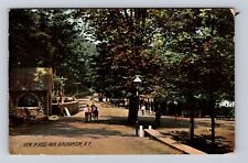 Binghamton NY-New York, View In Ross Park, Antique, Vintage c1908 Postcard picture