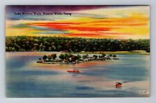 Mineral Wells TX-Texas, Lake Mineral Wells, Antique, Vintage Souvenir Postcard picture