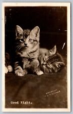 c1910  RPPC sweet pair of kittens GOOD NIGHT by PUTNAM picture