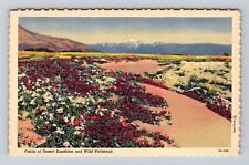 CA- California, Fields Of Desert Sunshine And Wild Verbenas, Vintage Postcard picture
